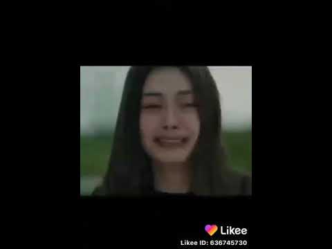 كال ما عوفك لا خر عمر