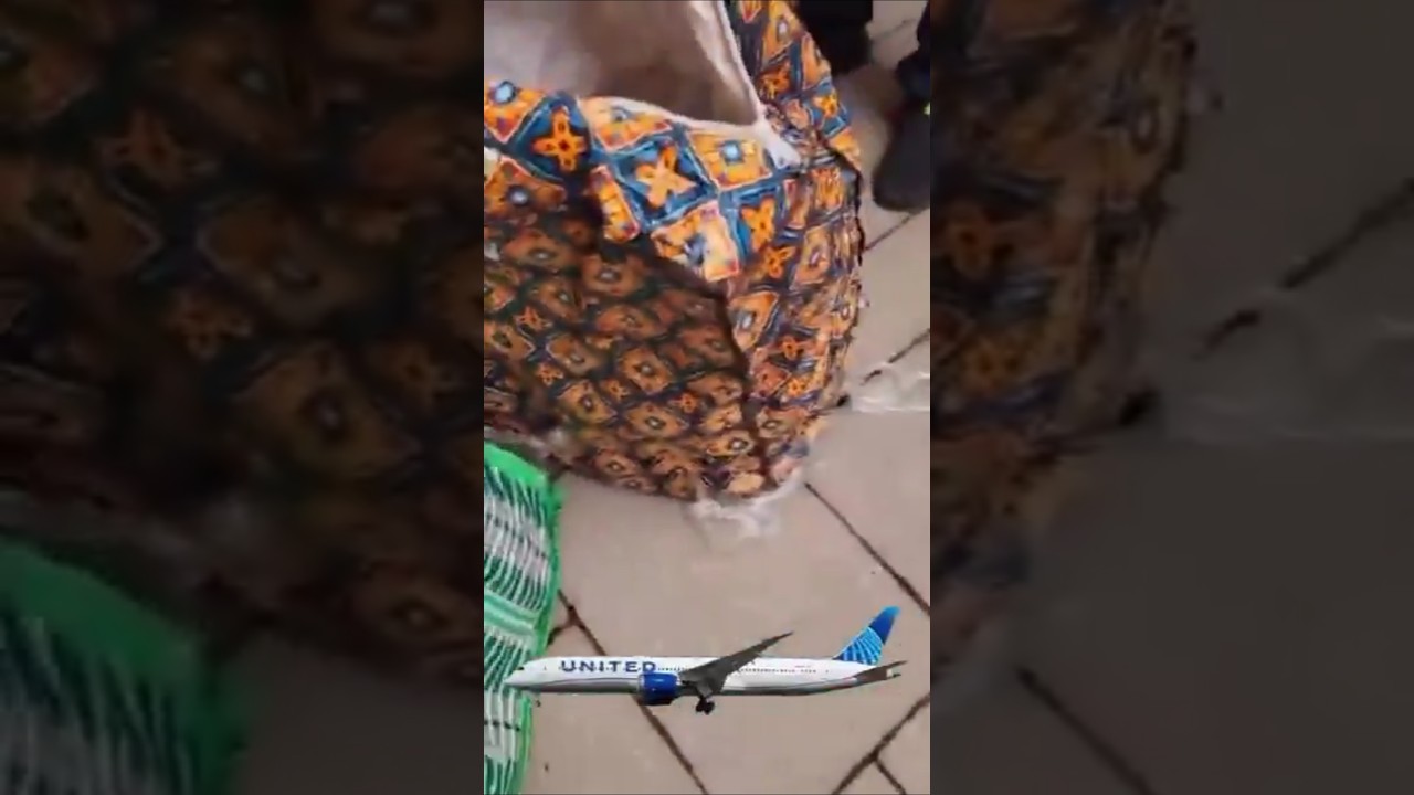 Nigerian woman cries out after allegedly losing food items from luggage on trip to Canada