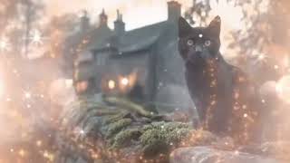Cumbrian Black Cat Energy ✦ Quiet Magnetism in 10 Minutes 432 Hz