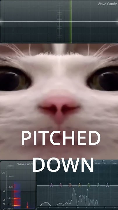Cat Meme Blink Sound Effects catmusic blink eyes whitecat cat-meme-blink-sound-effects-catmusic-blink-eyes-whitecat