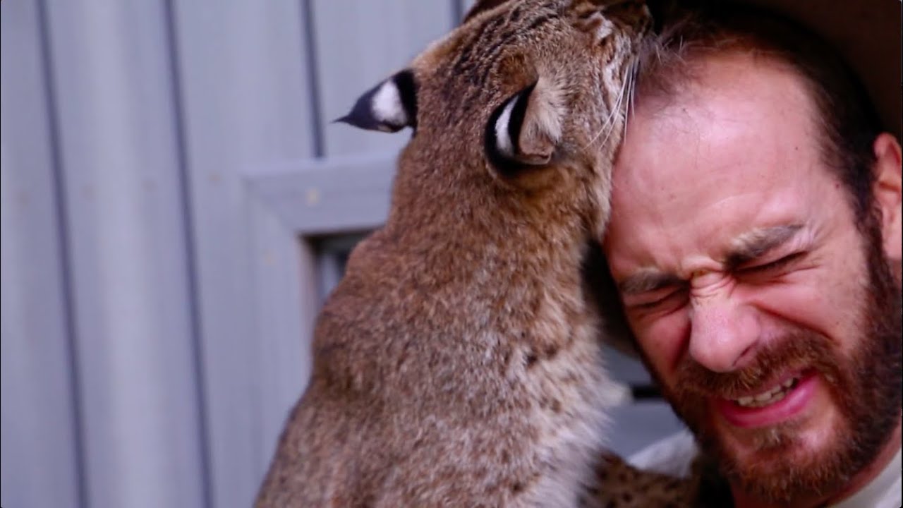 funny video memes Baby Bobcat Experience! Kamp Kenan S3 Episode 17