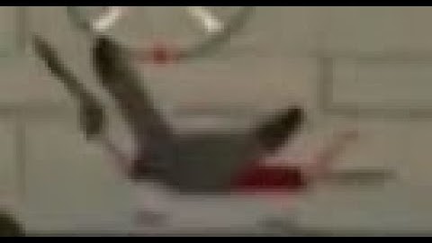 (vice-rp.com) dm for imvu