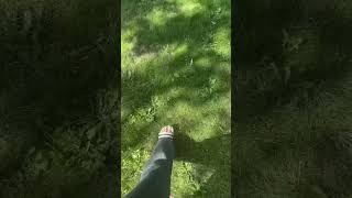 Chilling in my backyard 😍 #newyork  #usa #nature #reels