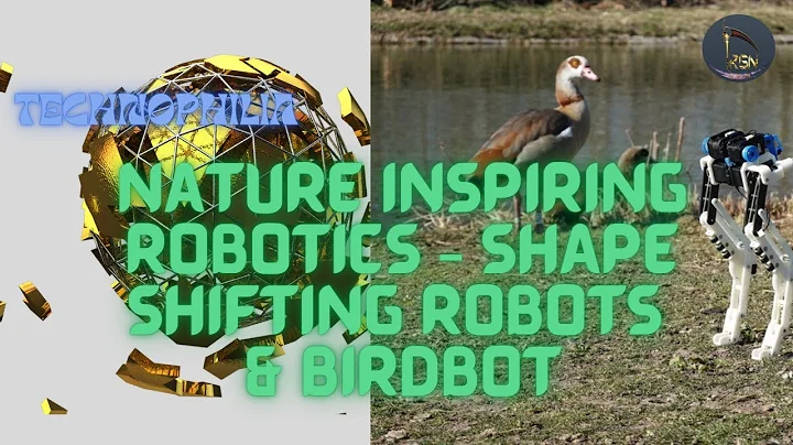 Technophilia | Nature Inspiring Robotics – Shape-Shifting Robots & BirdBot