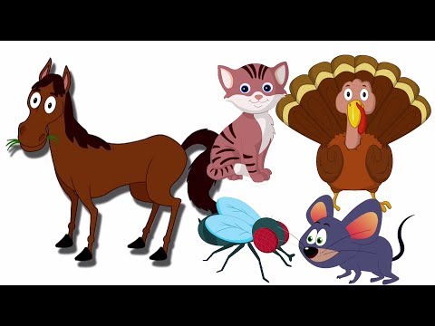 Звуковая Песня Животных | Дети Видео | Animal Sound Song | Learn Animals | Kids Educational Song