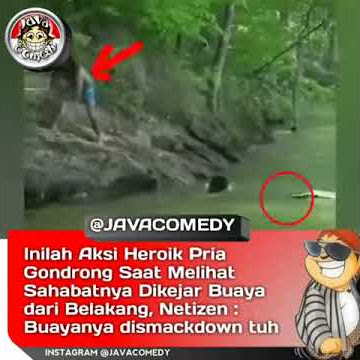 Buaya di smack down