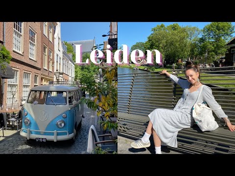 ლაიდენის ერთი ნახვით სიყვარული