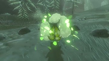 [DAY 491] of finding one korok seed everyday until Botw2 comes out