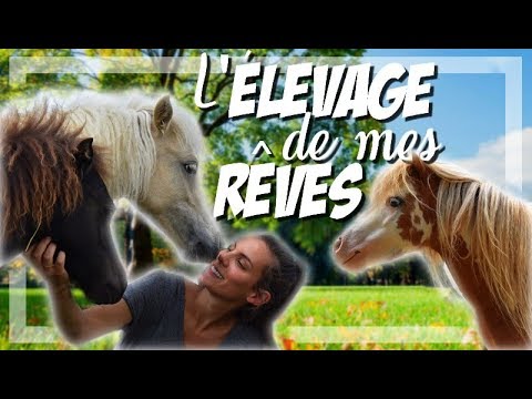 Vidéo: Elevage de chevaux miniatures