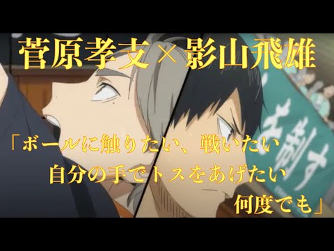 【ハイキュー!!21話】烏野VS青葉城西！影山と菅原の試合への思いがかっこいい！「息苦しさをくれ、ここに立たせてくれ、ボールに触りたい、戦いたい、自分の手でトスをあげたい、何度でも」〈心にしみる声〉