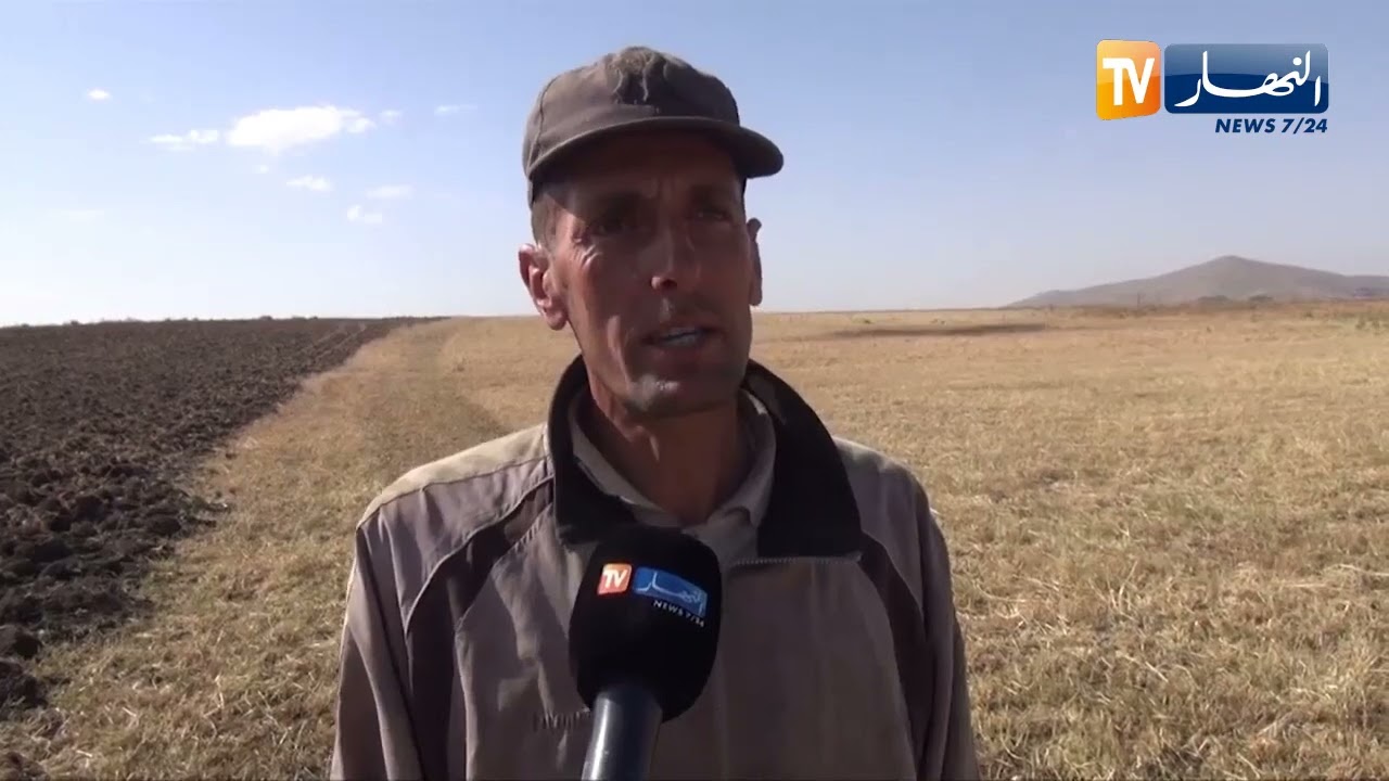 ميلة:  إنطلاق حصاد الخرطال الشوفان وسط ارتياح الفلاحين