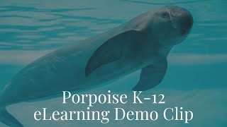 Porpoise K-12 Voiceover Demo Spot
