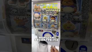 おなかシールのガチャガチャを回してみたら #shorts