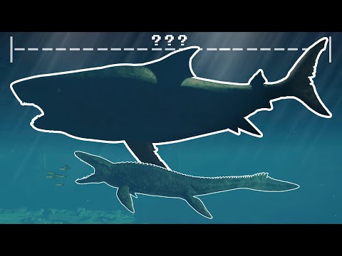 MEGALODON SIZE REVEALED!!! - Jurassic World Park Creators DLC