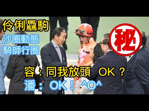 伶俐驫駒 沙圈動態 + 騎師行圈