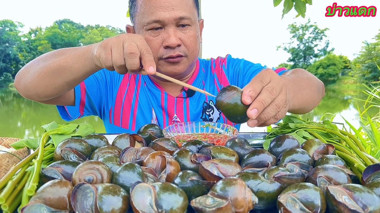 หอยปังใหญ่ๆคุ้ยแจ่วส้มกรอบกรุบแซ่บคัก #บ่าวแดก