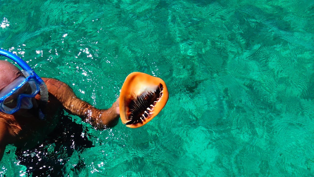 Episode  #59  Boat chores while killing time in Nassau