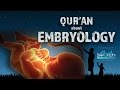 Quran about Embryology | Quran and Modern Science 