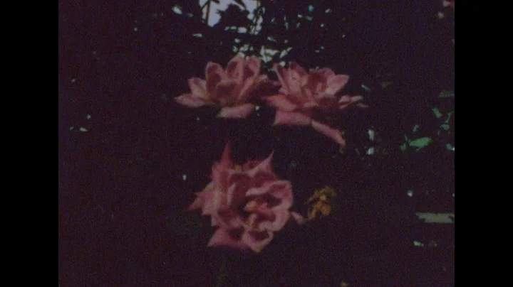 "Memories on Film" a Super 8 video