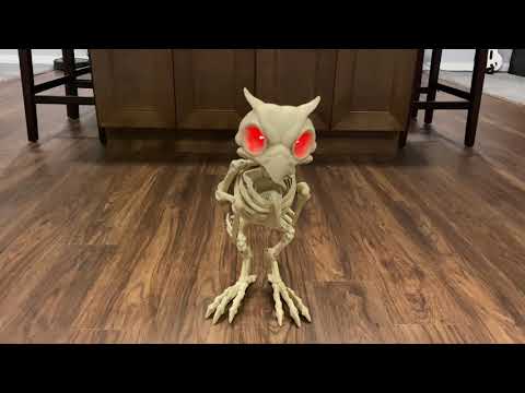 Video: Owl skeleton: structural features. The appearance of an owl