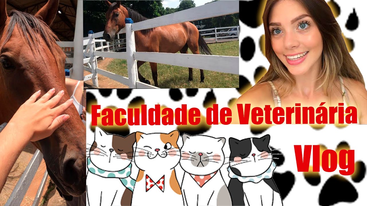 Um dia comigo na faculdade de Veterinária!