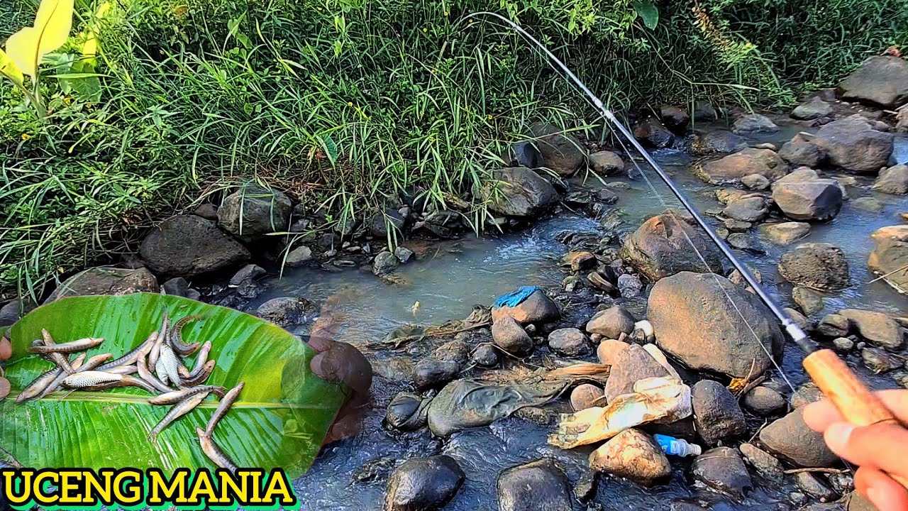 Bikin nagih !! Melanjutkan misi mancing target uceng di spot bebatuan