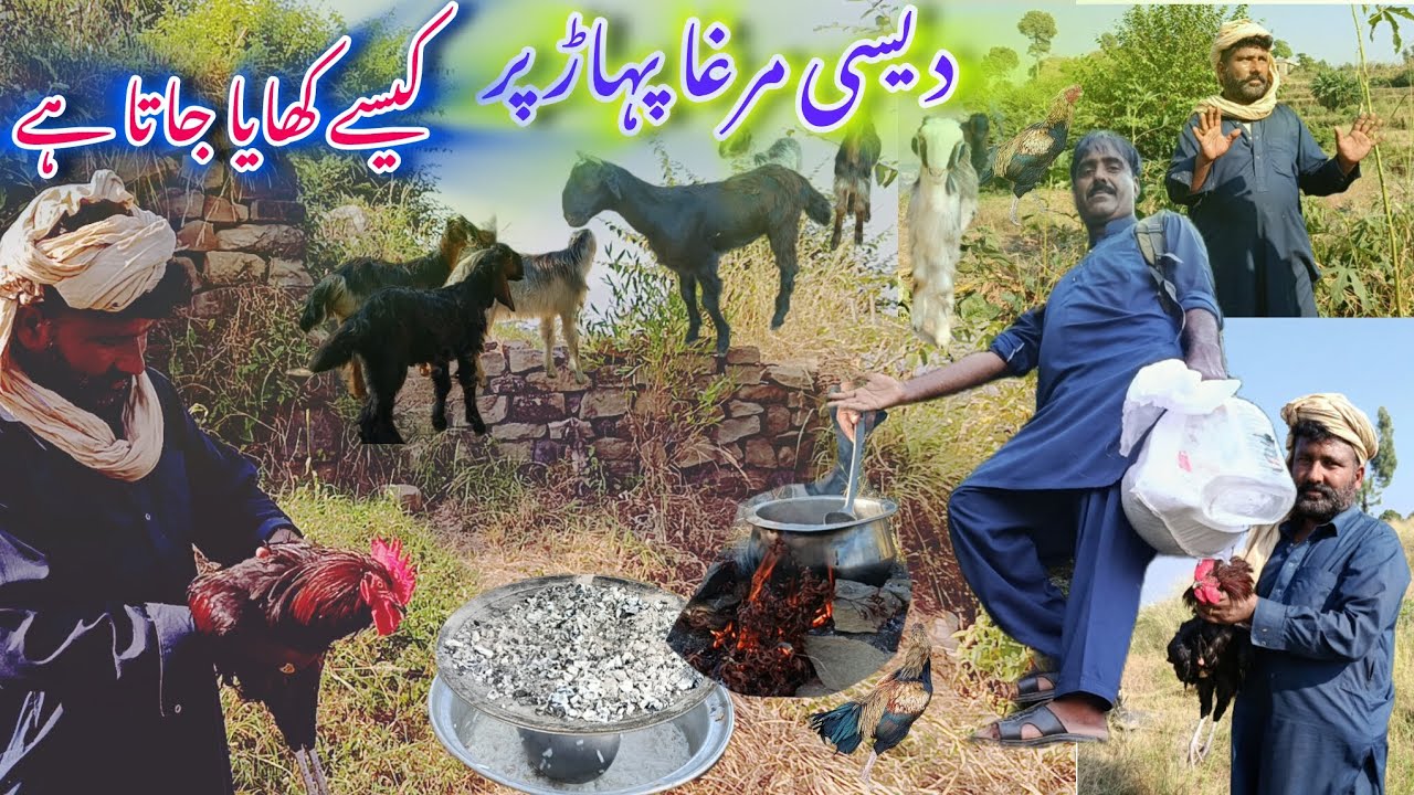 Azad Cook The Tufail Bhai Cooking Desi Chicken Mountain Real Village Life of Azad ...