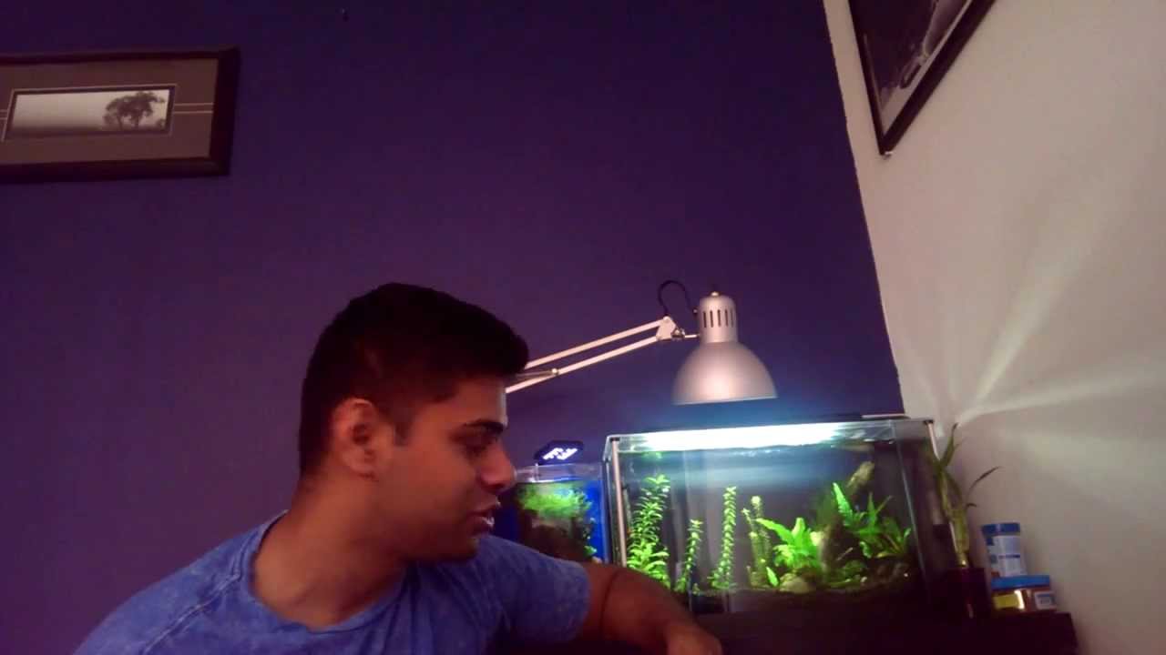 Understanding PAR for aquarium lighting YouTube