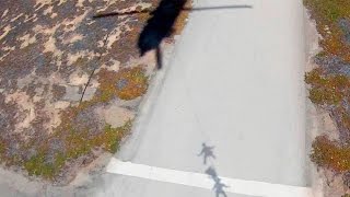 Military Exercise: SPIE & Fast Rope Training: Alex Burtness