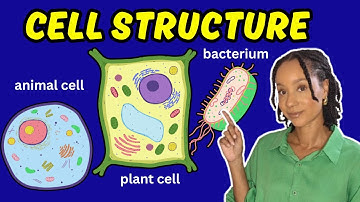 CELLS 101| Structure & Functions MADE EASY| Biology Online Class (2025)