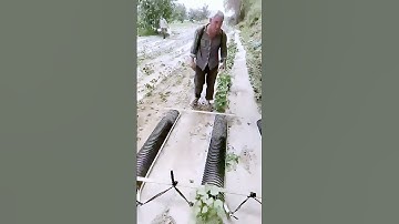 The process of spraying vegetables = a good method can improve efficiency