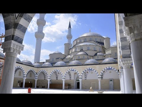 Драцена : виды фото и названия: каймленная (D Картинки красивые прически (35 фото) Прикольные картинки