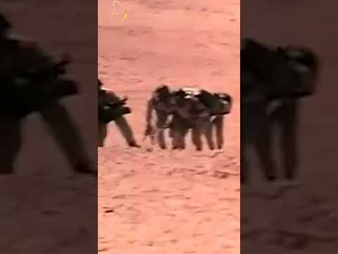 المظلة الصاروخية المصرية التي غي رت وجه الحرب