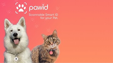 PAWID QR Code Dog Tag - How It Works