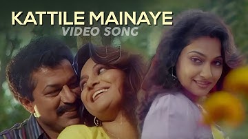Kattile Mainaye VIdeo Song | Akashadoothu | Murali | Madhavi | Seena Antony | Ben | Martin | Joseph