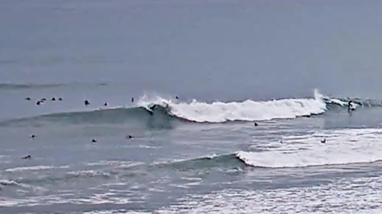 Clips
