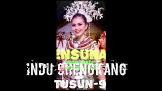 Indu Chengkang Tusun-9