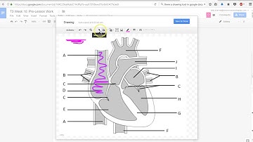 Using the drawing tool in Google Docs