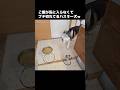 ご飯が気に入らなくて文句が止まらないハスキー犬がこちら...#shorts