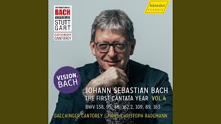 Was soll ich aus dir machen, Ephraim, BWV 89: No. 3, Ein unbarmherziges Gerichte