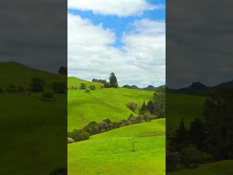 4k Relaxing music nature landscape short video #shorts #nature