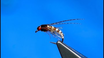 Tying a McPhail Caddis Pupa by Davie McPhail