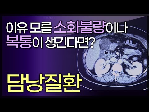 증상이 없어 발견하기 어려운 담낭질환 (담석증, 담낭용종, 담낭염, 담낭암) / 이유 모를 소화불량이나 복통이 생긴다면? / 비만, 다이어트가 원인 / 141013 tv닥터인사이드