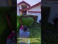 초보자도 알기 쉬운 조경 전정기 사용법과 관목 모양 잡기 가이드 #worker #process #gardeningtips