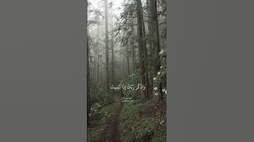 تلاوة جميلة جداً من سورة الكهف بصوت القارئ ياسر الدوسري 💙.