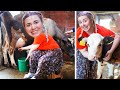 KÖYDE BİR GÜN GEÇİRDİM ! 🐔 | İnek Sağdım 🐂, Ekmek Yaptım, Koyun besledim...