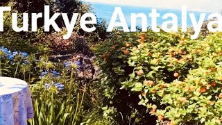Antalya's Secret Viewpoints: A Walking Tour with the Best Sea Views