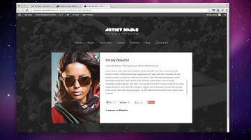 Setting up the Portfolio | Artist Premium Wordpress Theme