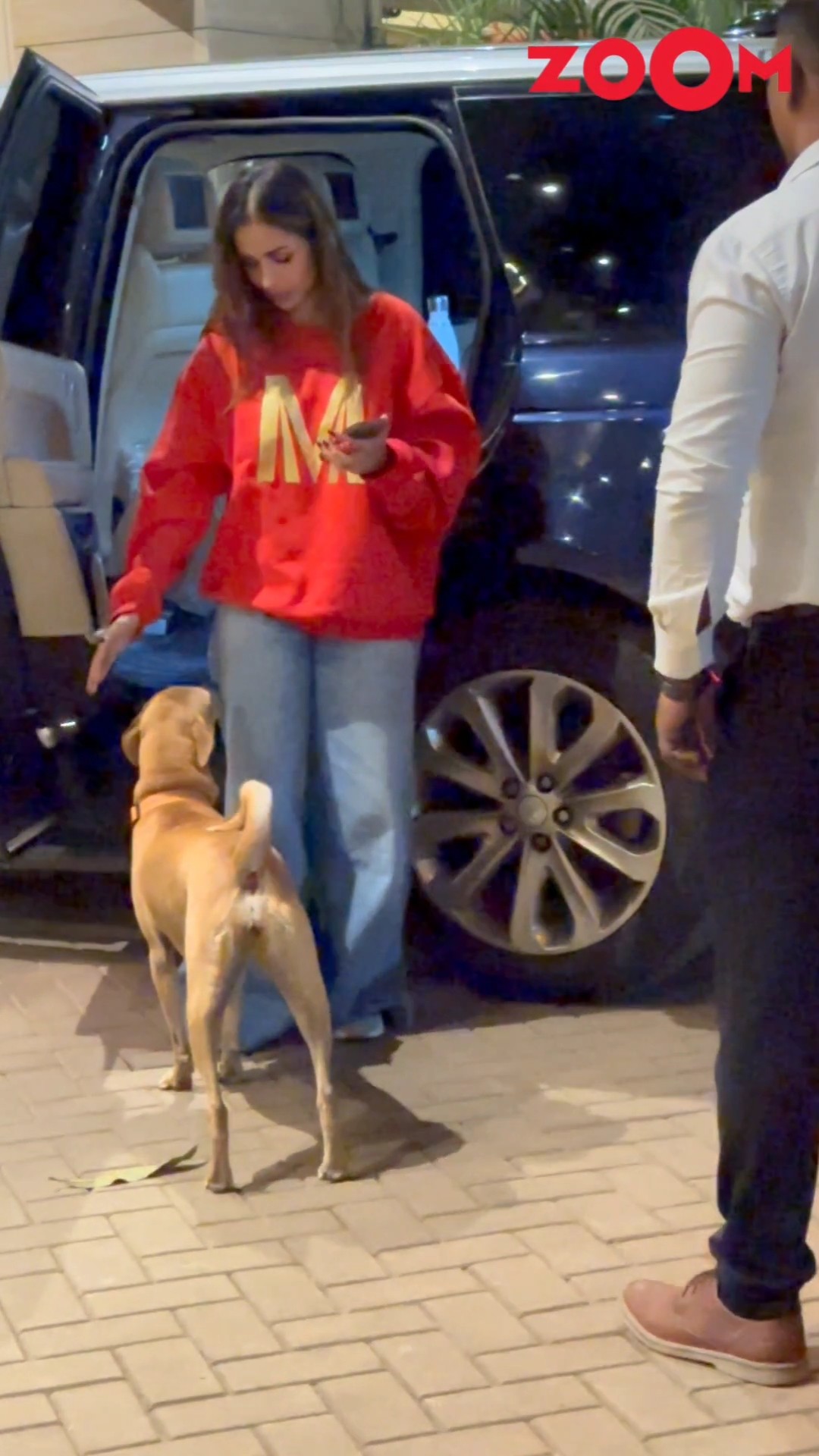 Malaika Arora cutely pets the dog before going inside her building ? #shorts #malaikaarora