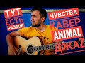 Чувства - Animal Джаz / кавер под гитару + разбор